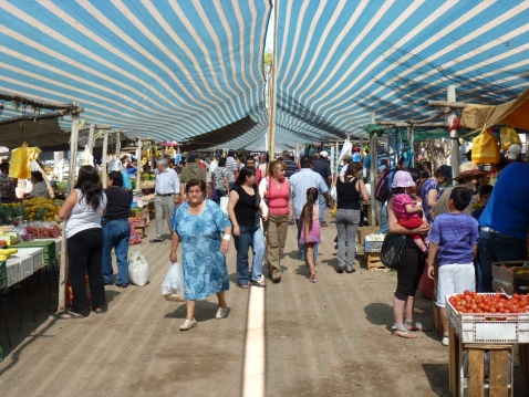 The market at Vicuña, Chile