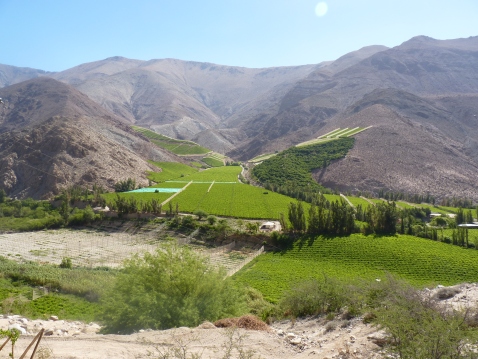 The Elqui Valley